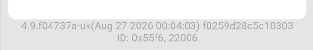 Firmware version, language suffix, build time, and unique ID in the device web interface